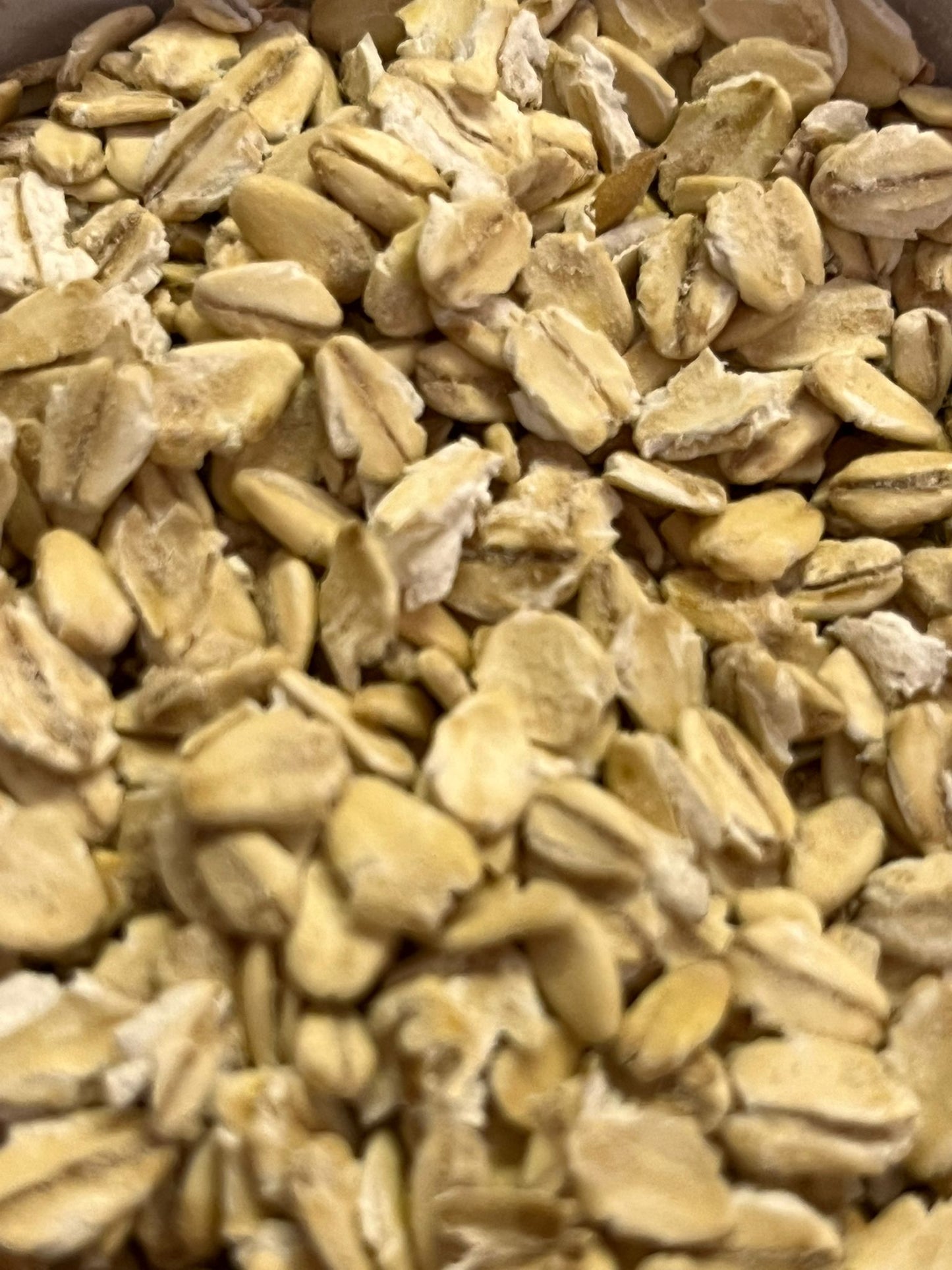 Organic Jumbo Oats 100G
