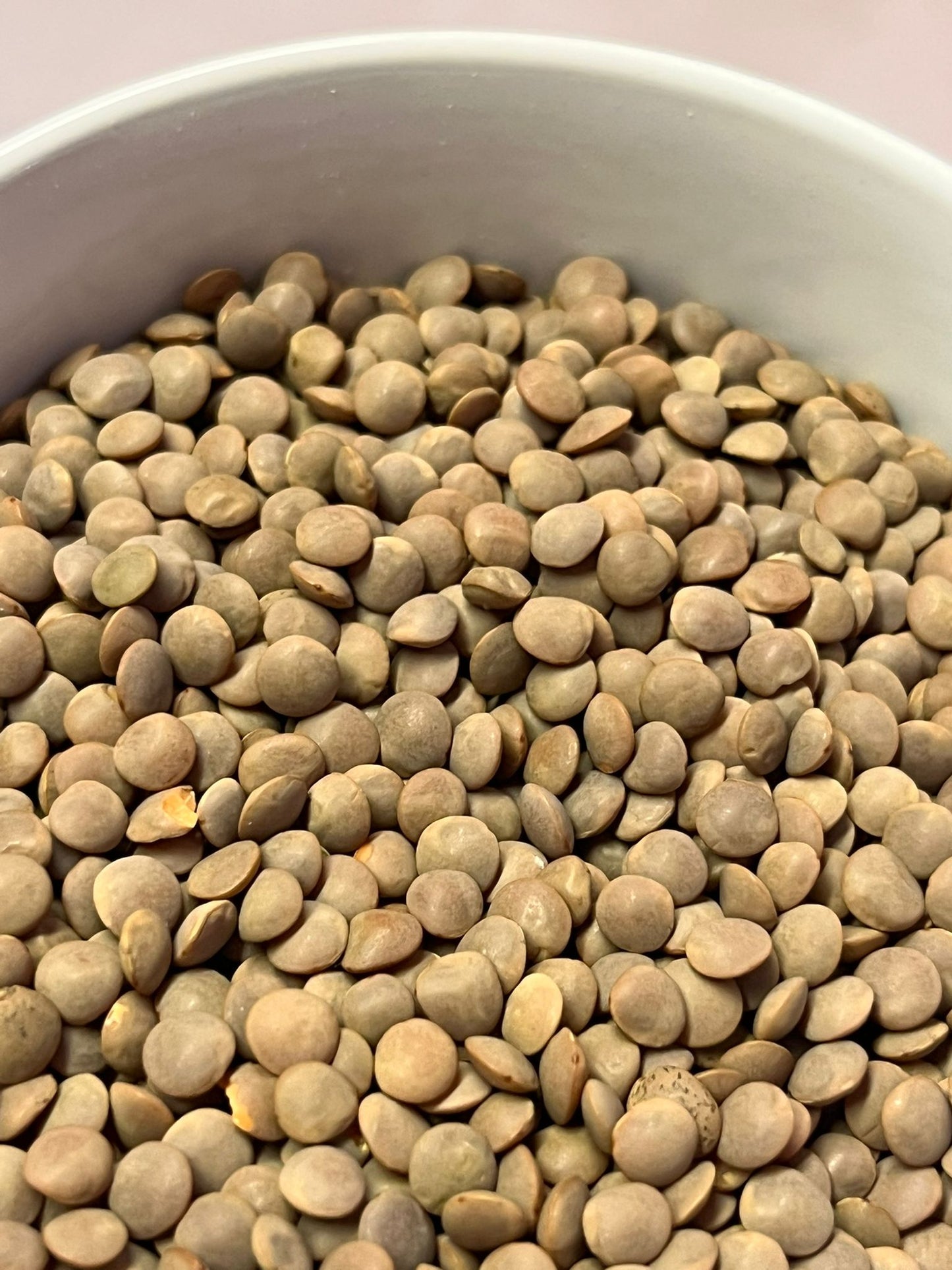 Organic Brown Lentils 100G