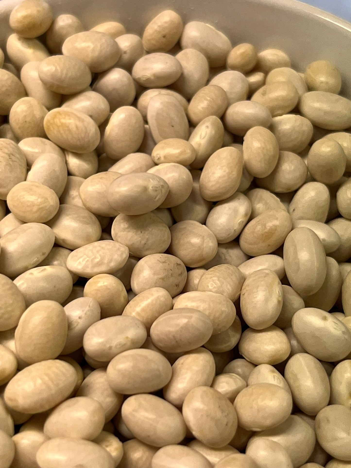White Haricot Beans 100G