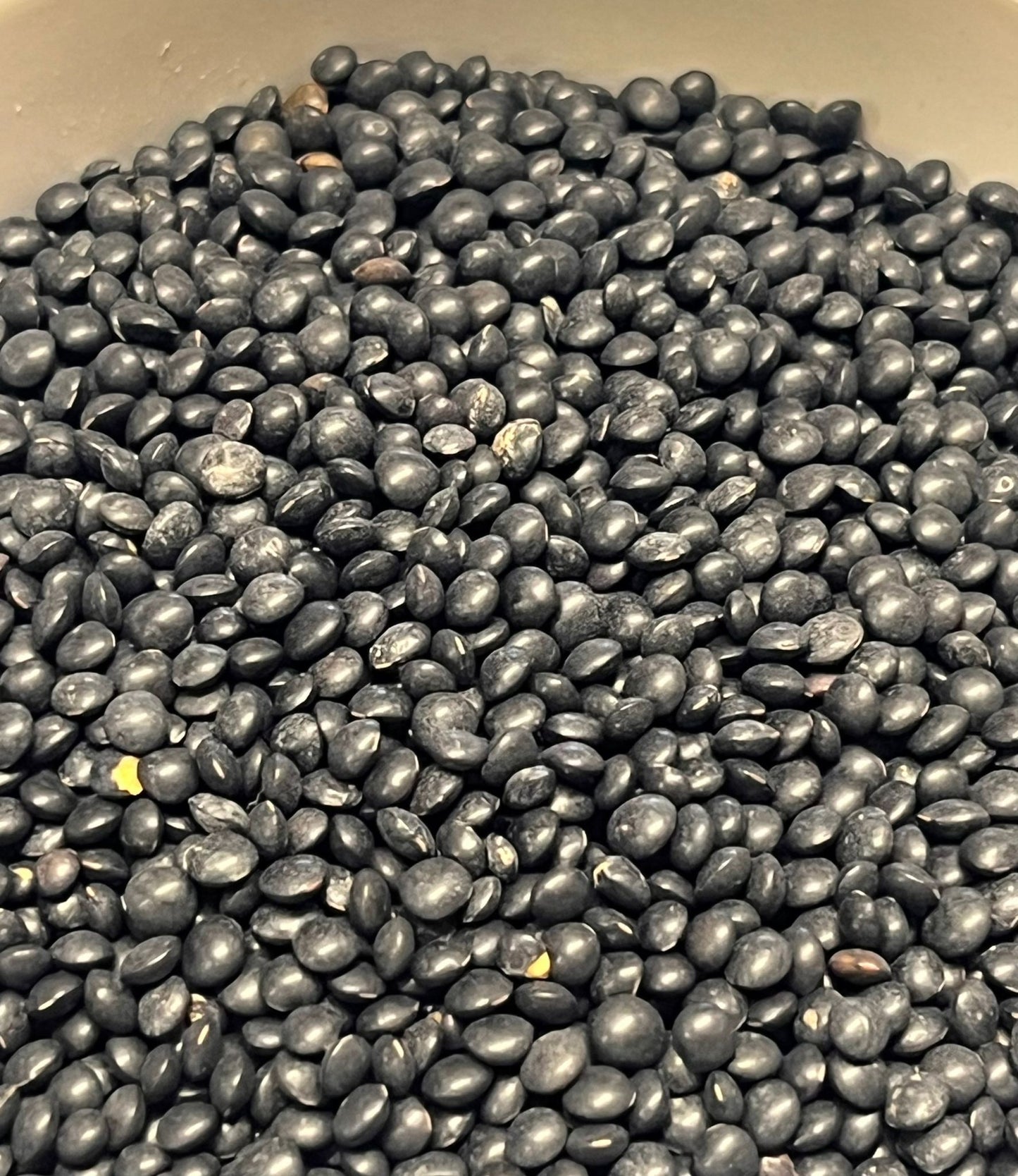 Black Lentils 100G