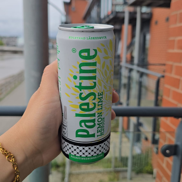 Palestine Lemon and Lime (24 Pack)