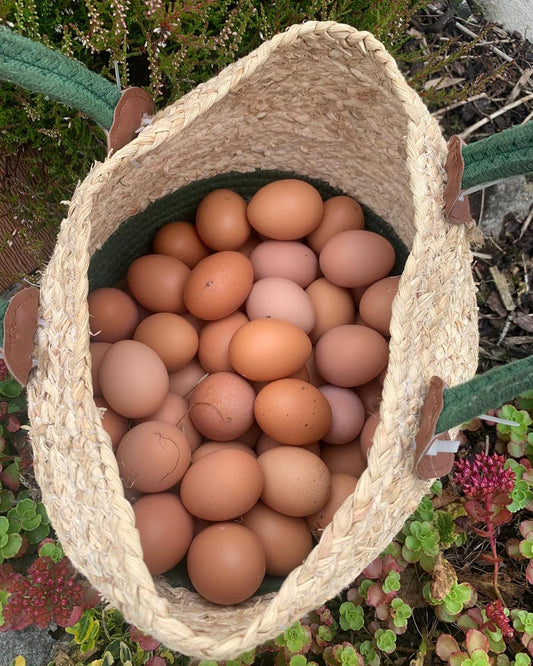 Bells Park Half Dozen Eggs (Locally Produce)