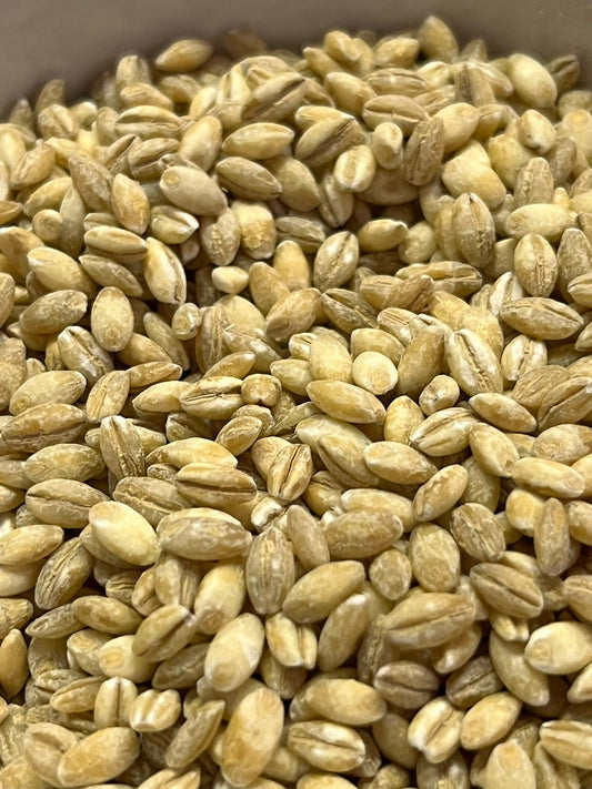 Organic Pearl Barley 100G