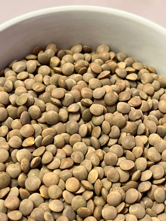 Organic Brown Lentils 100G