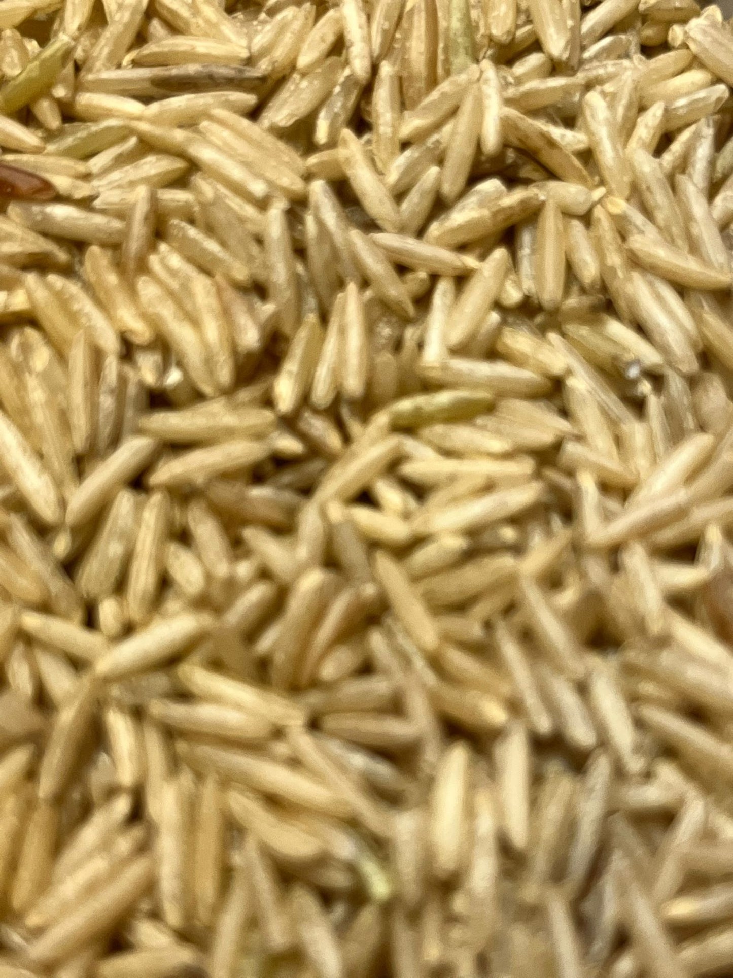 Organic Basmati Brown Rice 100G