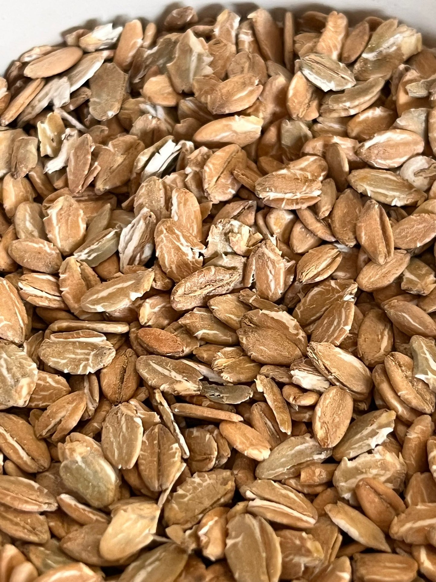 Organic Rye Flakes 100G