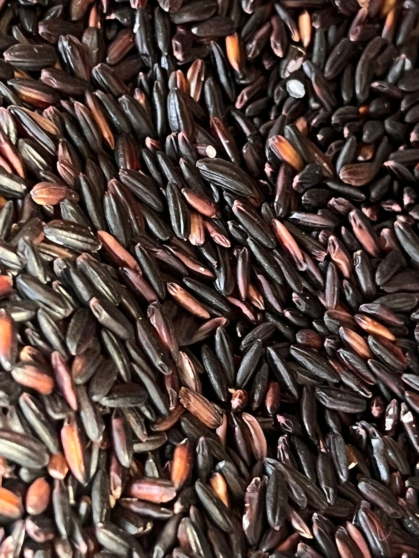 Black Rice 100G