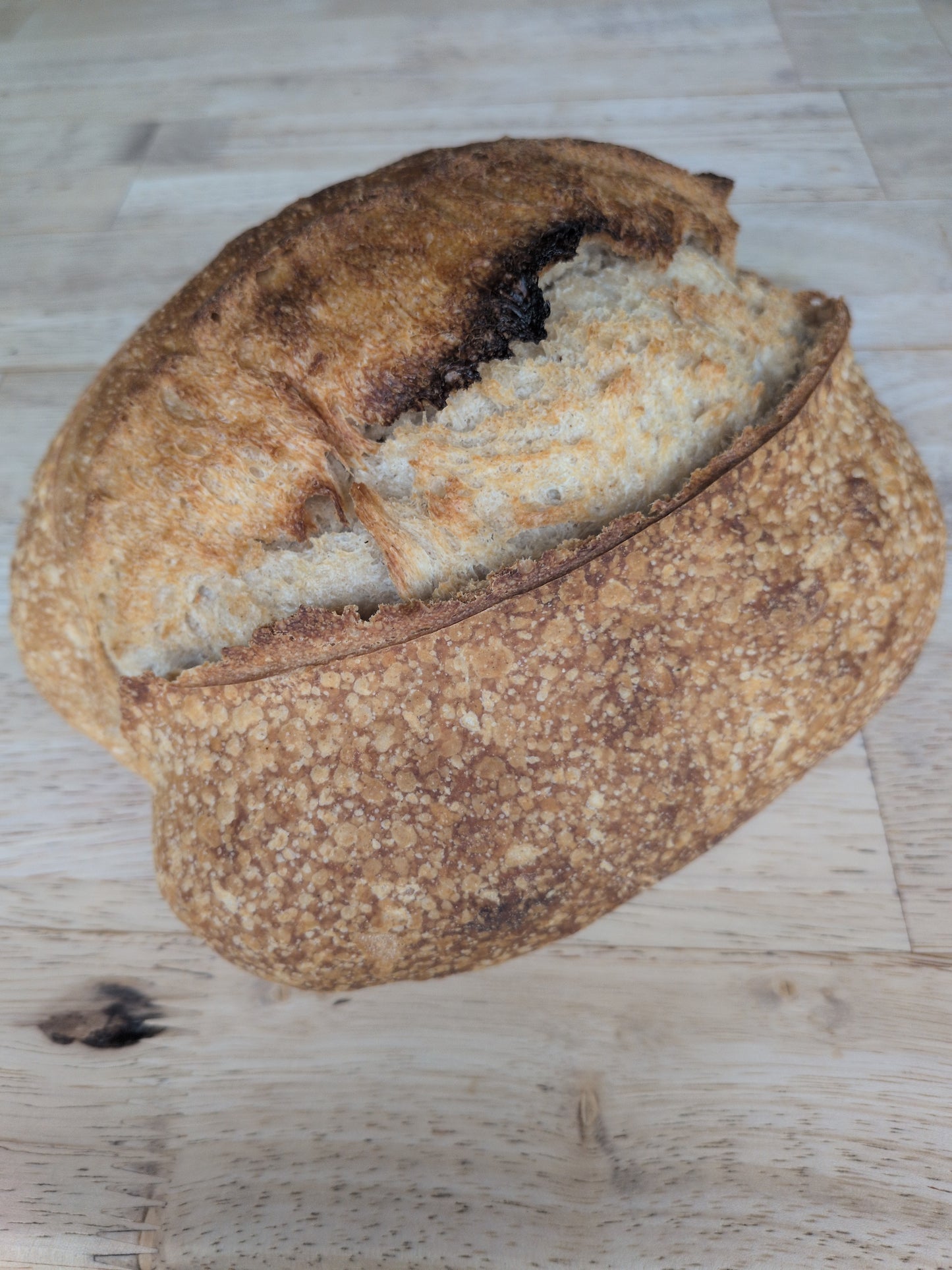 Blistered Bread Sourdough